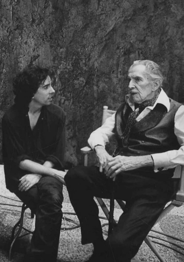 Conversations with Vincent