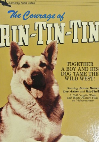 The Challenge of Rin Tin Tin