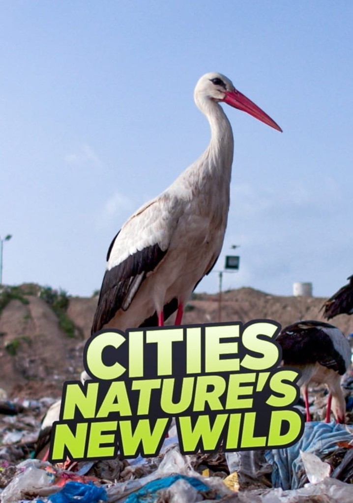 Cities: Nature's New Wild