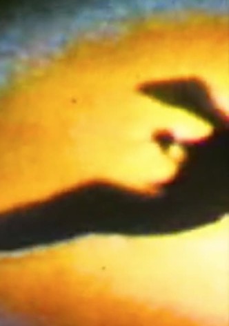 L'oiseau