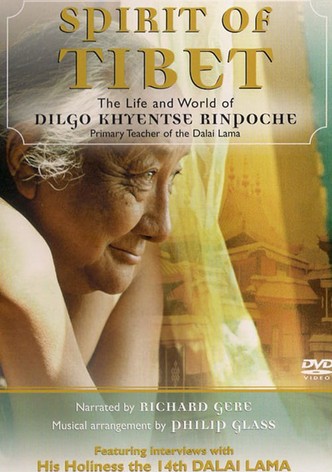 Spirit of Tibet: Journey to Enlightenment, the Life and World of Dilgo Kyentse Rinpoche