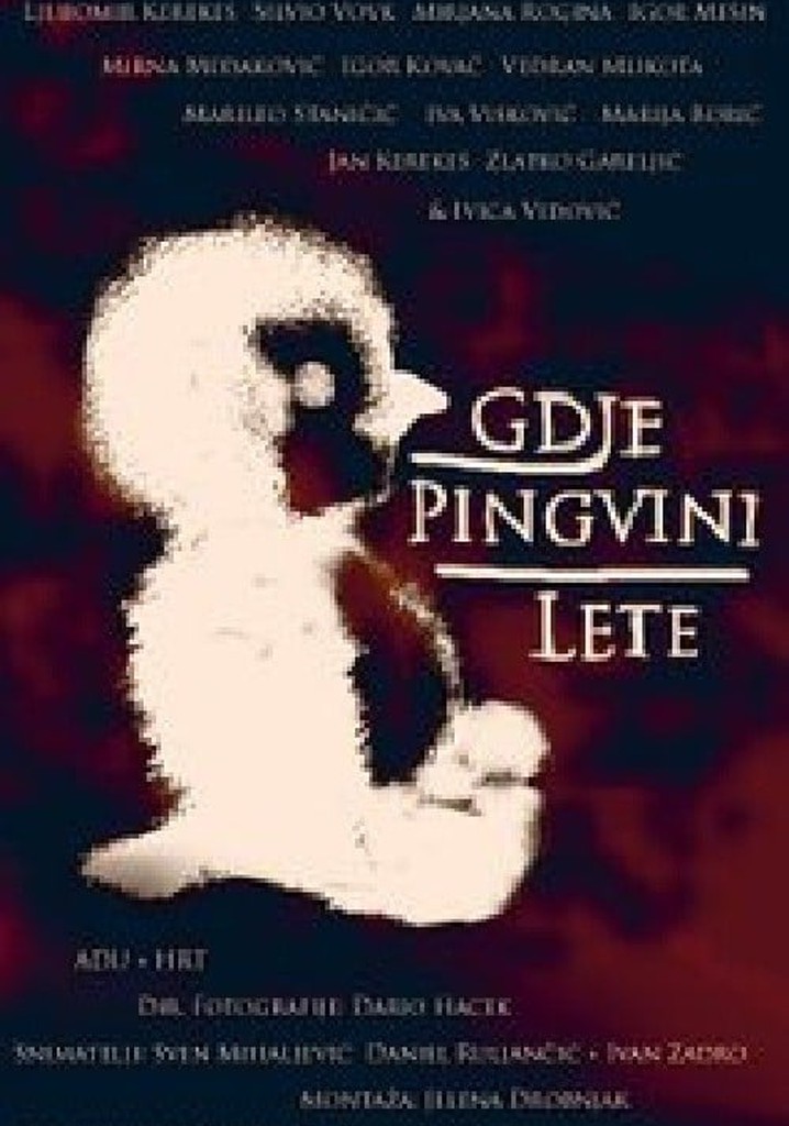 Where the Penguins Fly