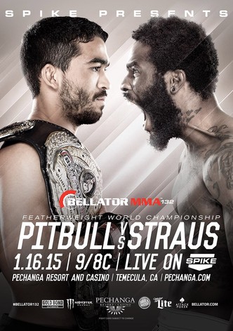 Bellator 132 Pitbull vs. Straus 2  Prelims