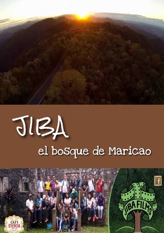 JIBA: el bosque de Maricao