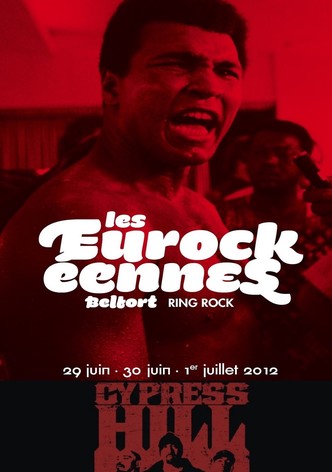 Cypress Hill on tour - Les Eurockéennes de Belfort 2012