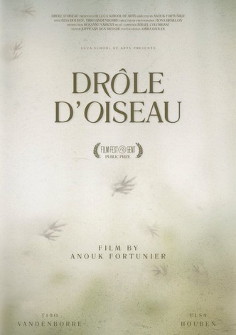 Drôle d'Oiseau