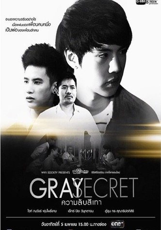 Wifi Society: Gray Secret