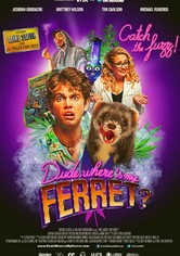 Dude, Where's My Ferret?