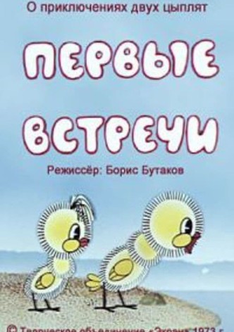 Первые встречи