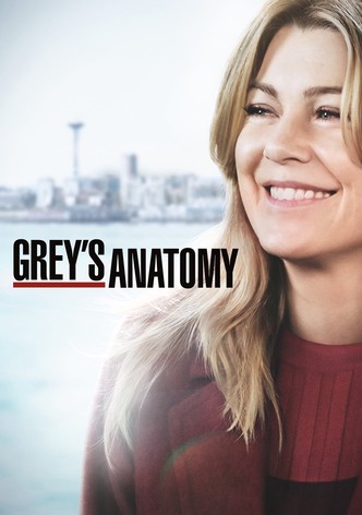 Grey's anatomy best sale stream free