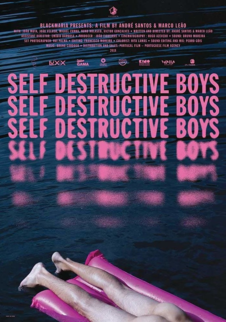 Self Destructive Boys