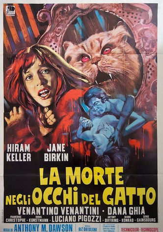 La morte negli occhi del gatto