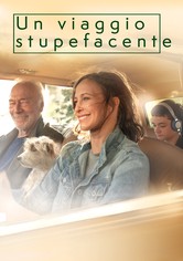 Un viaggio stupefacente