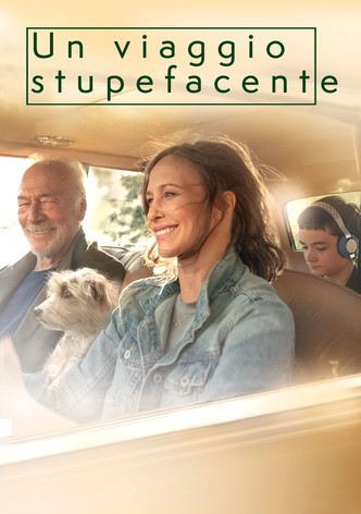 Un viaggio stupefacente