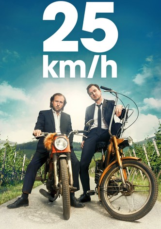 25 km/h