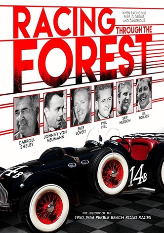 Racing Through the Forest