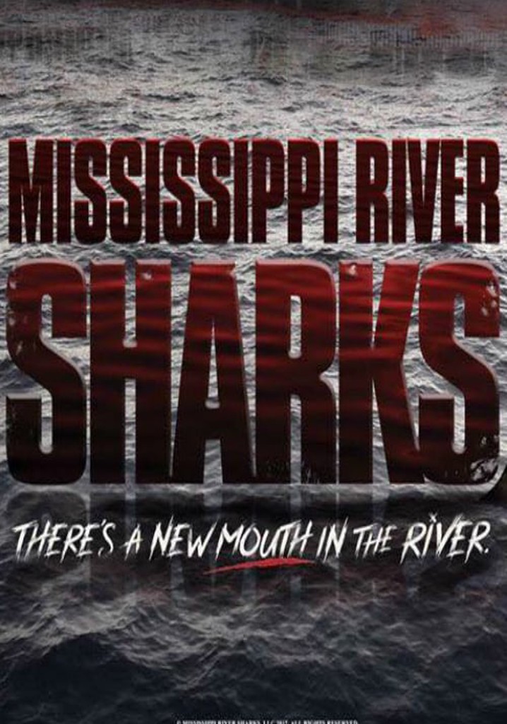 Mississippi River Sharks