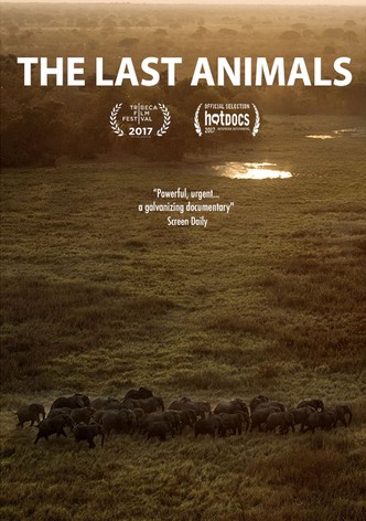 The Last Animals