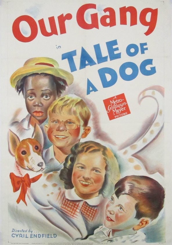 Tale of a Dog