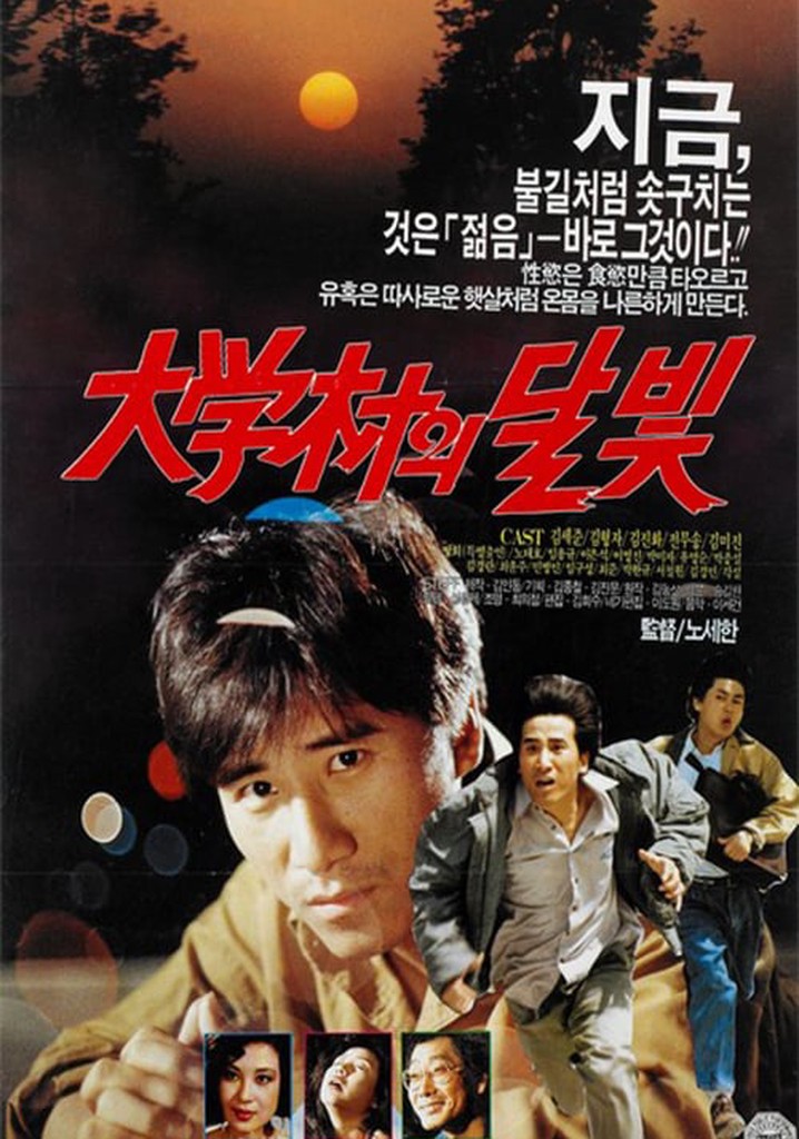 Moonlight in the University Town