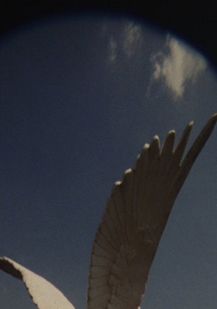 The House, The True One and The One That Follows, Is Yet to be Built