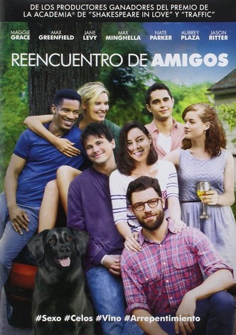 Reencuentro de amigos