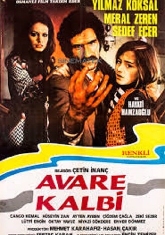 Avare Kalbi