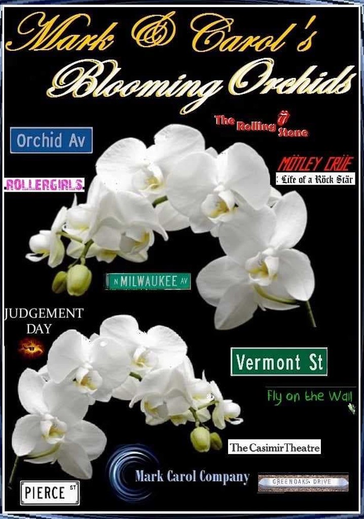 Mark and Carol's Blooming Orchids