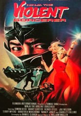 Ninja, the Violent Sorceror