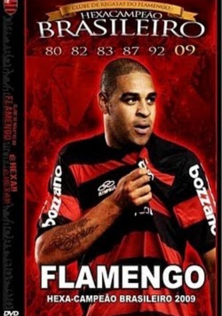 Flamengo: Hexa-Campeão Brasileiro 2009