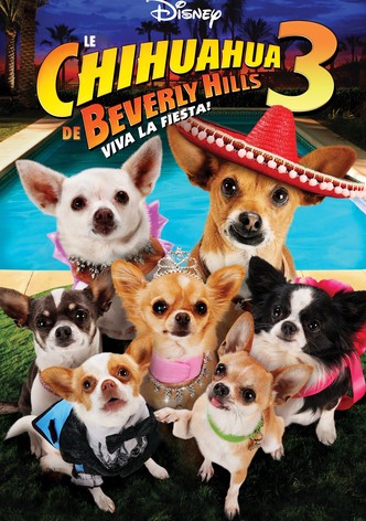 Le Chihuahua de Beverly Hills 3 : Viva la Fiesta !