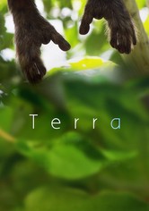Terra