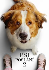 Psí poslání 2