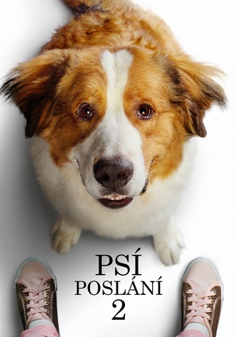 Psí poslání 2