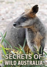 Secretos de Australia Salvaje - Los secretos de una Australia salvaje 1