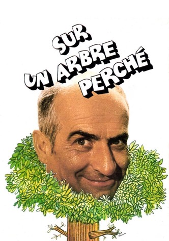 Sur un arbre perché