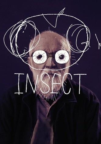 Insect