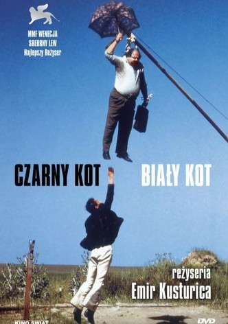 Czarny kot, biały kot