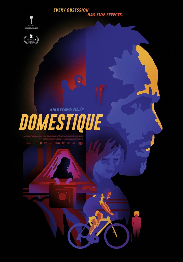 Domestique