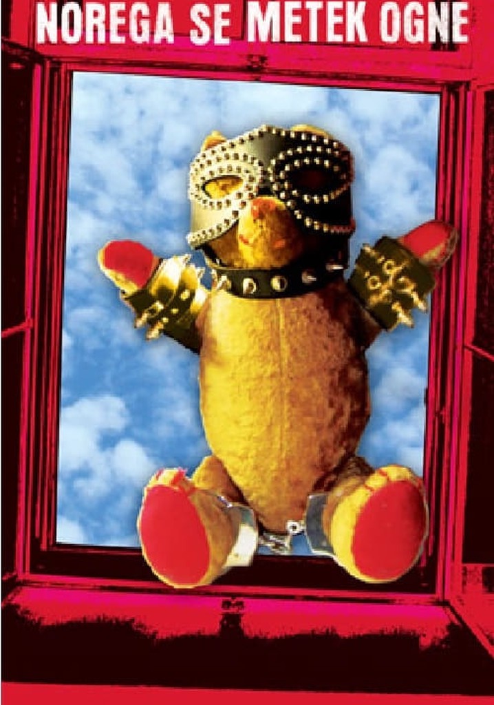 Bullets Miss the Fool