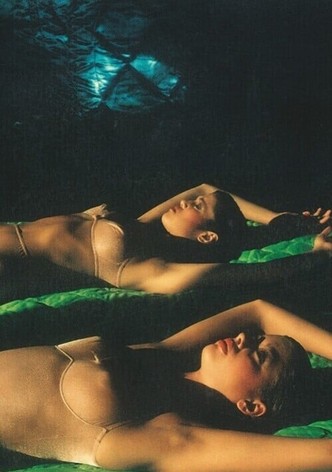Films of Guy Bourdin (Selection)