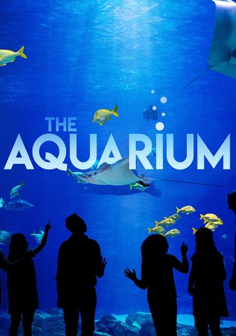 Une saison à l’Aquarium  - Saison 1