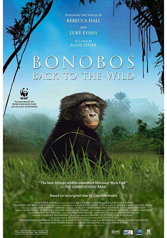 Bonobos: Back to the Wild