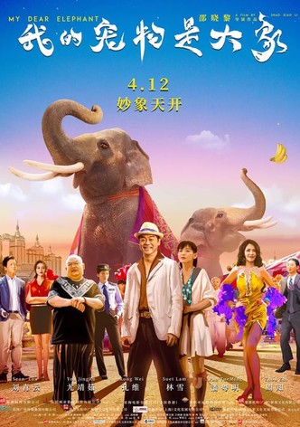 My Dear Elephant