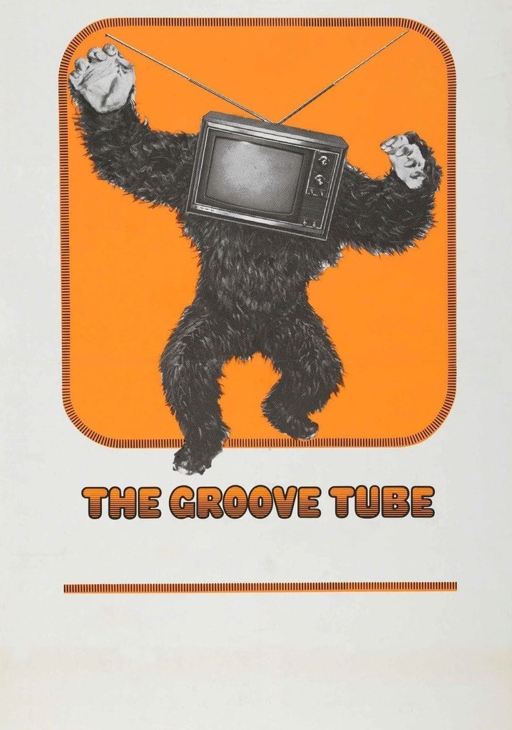The Groove Tube streaming: where to watch online?
