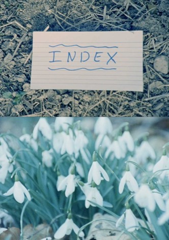 Index