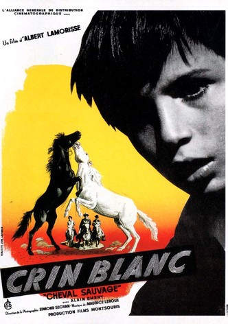 Crin blanc: Le cheval sauvage