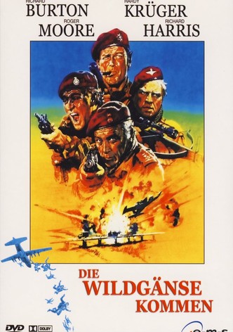 Die Wildgänse kommen