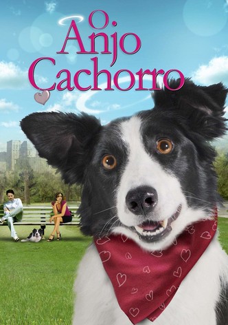O Anjo cachorro