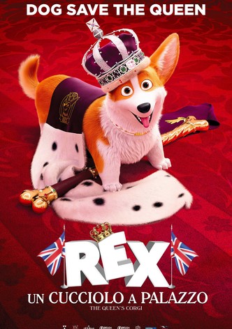 Rex - Un cucciolo a palazzo